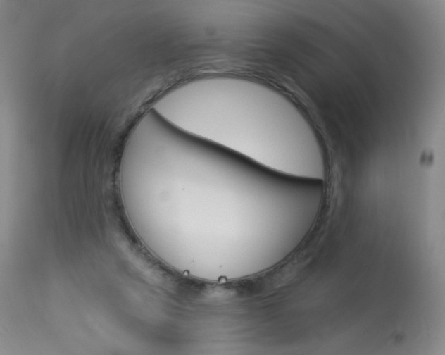 X0000114130257200910081009