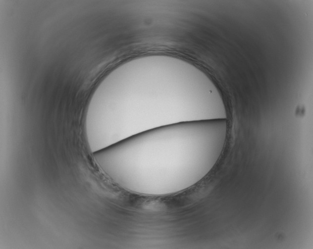 X0000114130258200910081009