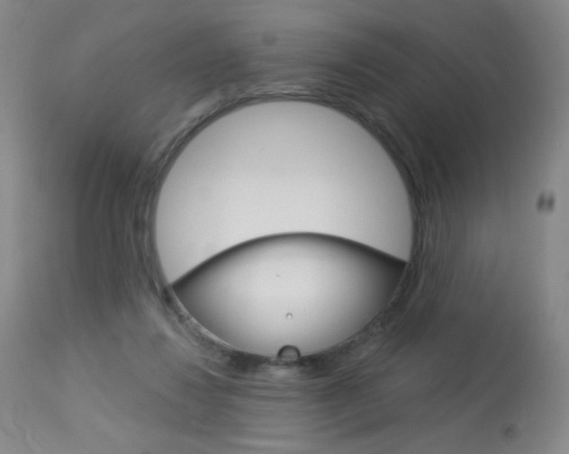 X0000114130260200910081009