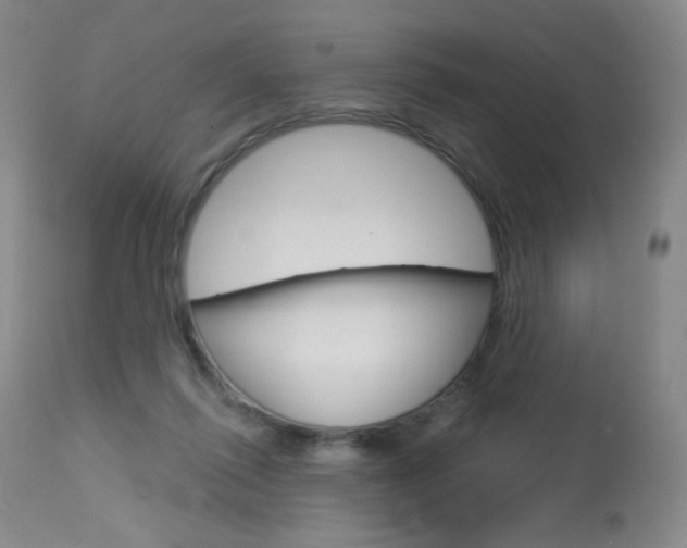 X0000114130262200910081009
