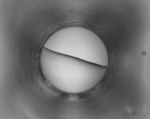 X0000114130263200910081009