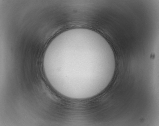 X0000114130264200910081009