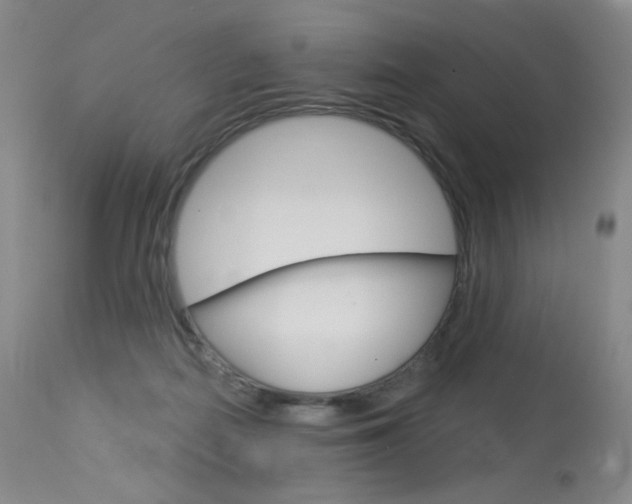 X0000114130266200910081009