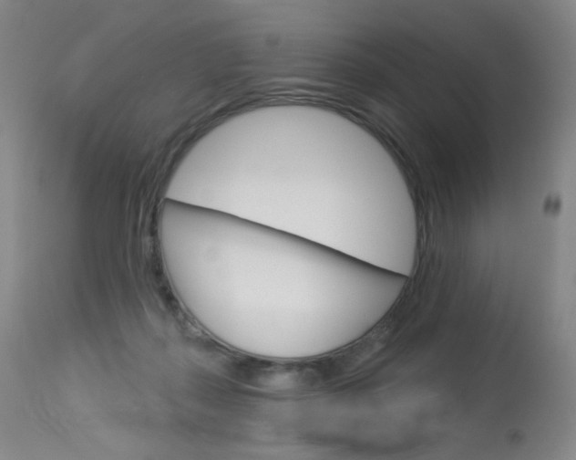 X0000114130267200910081009