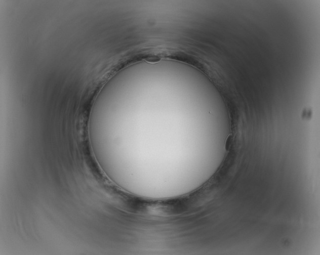 X0000114130268200910081009
