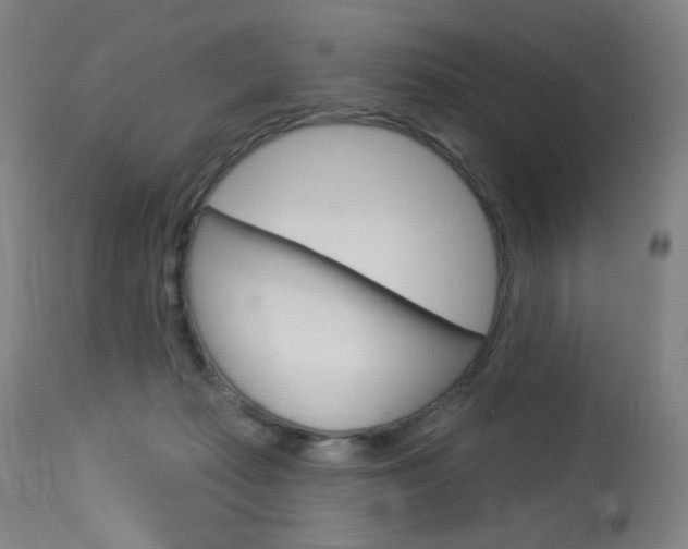 X0000114130269200910081009
