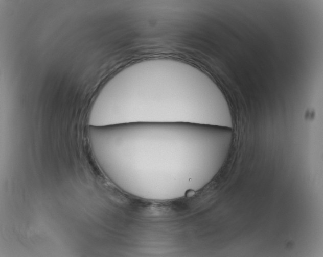 X0000114130270200910081009