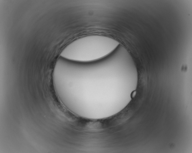 X0000114130271200910081009