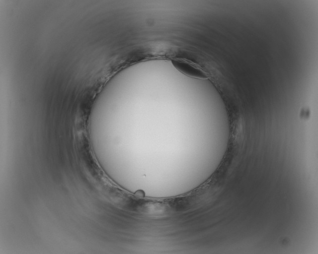X0000114130272200910081009