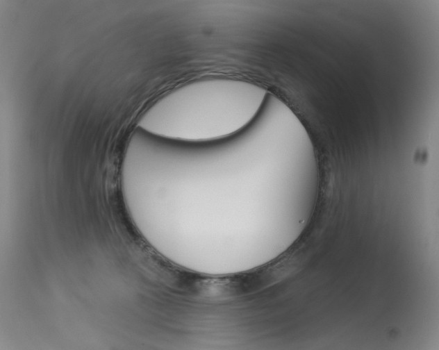 X0000114130273200910081009