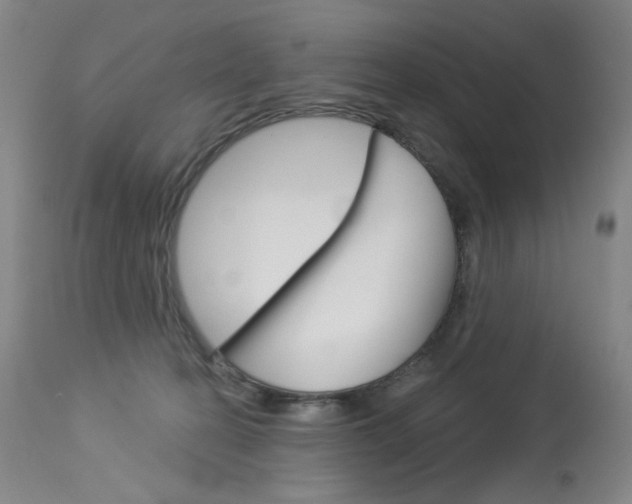X0000114130274200910081009