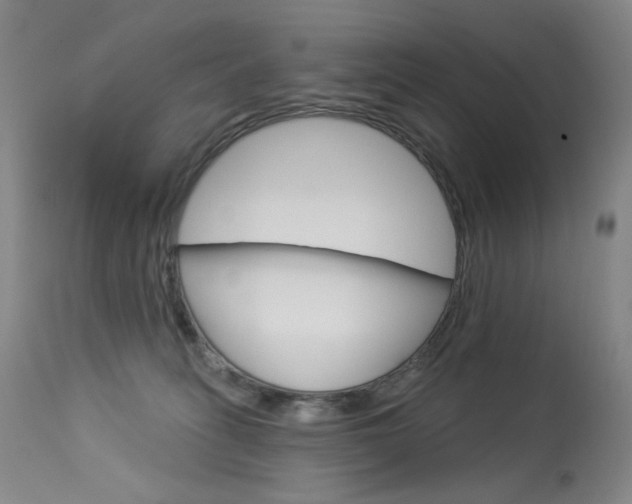 X0000114130275200910081009