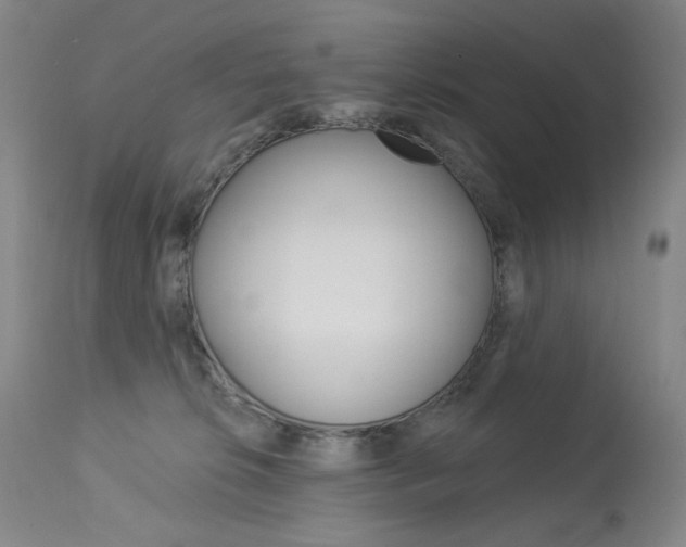 X0000114130276200910081009