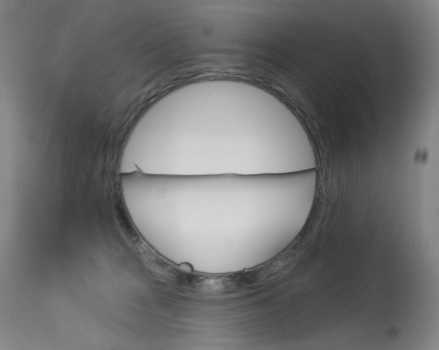 X0000114130277200910081009