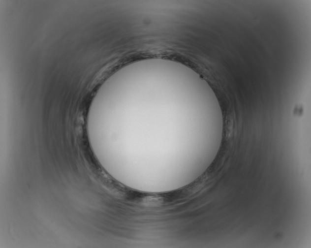 X0000114130279200910081009