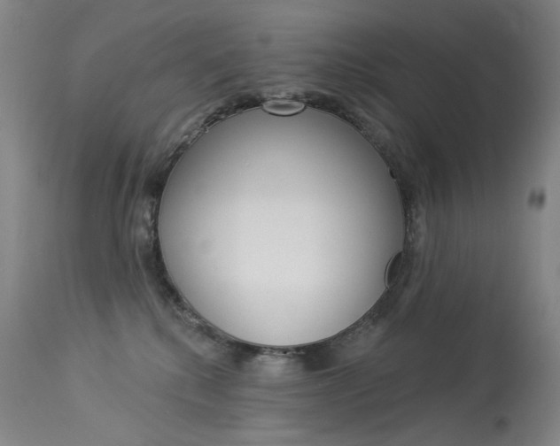 X0000114130280200910081009