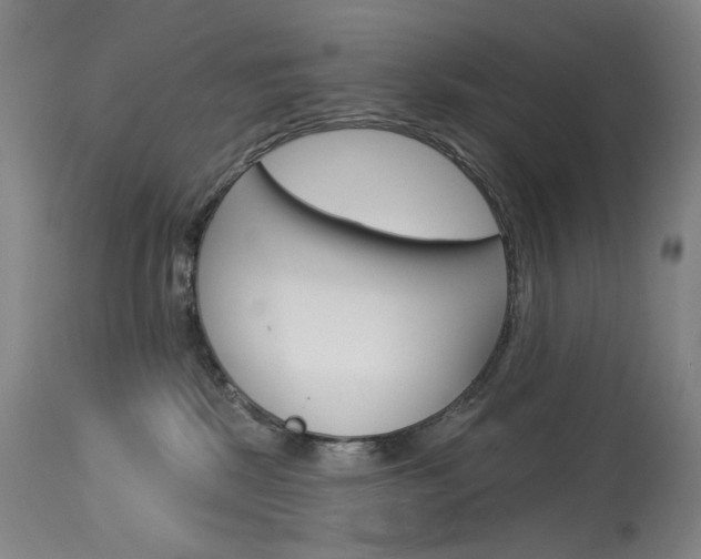 X0000114130281200910081009