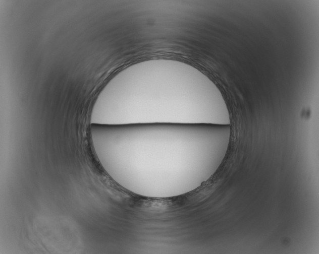 X0000114130282200910081010
