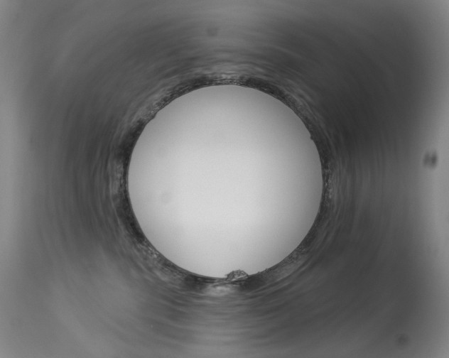 X0000114130283200910081010