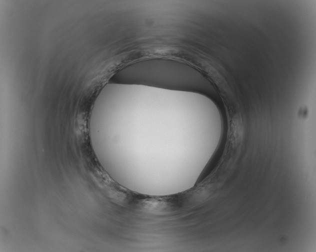 X0000114130284200910081010