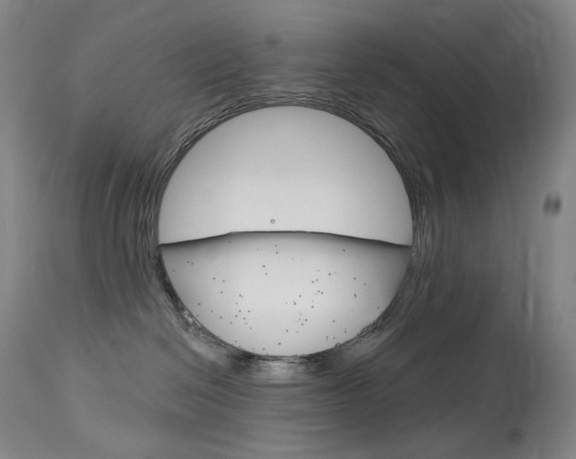 X0000114130286200910081010