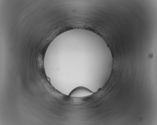 X0000114130287200910081010