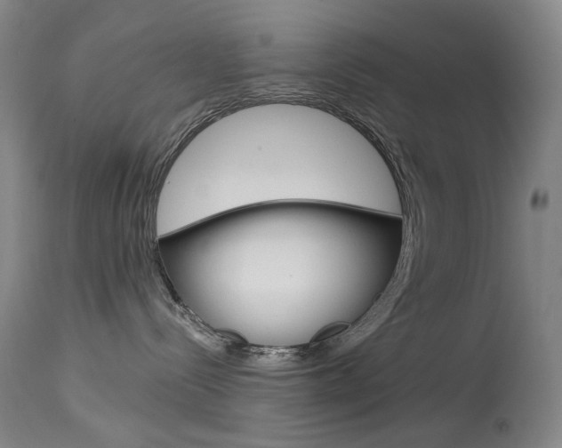 X0000114130288200910081010