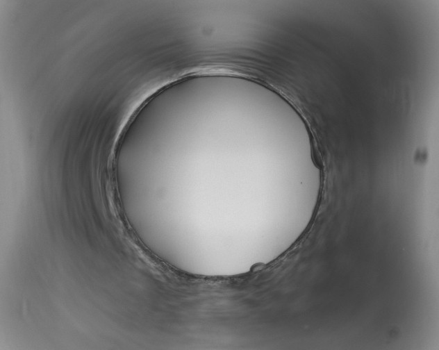 X0000114130289200910081009
