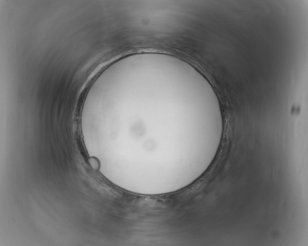X0000114130290200910081009