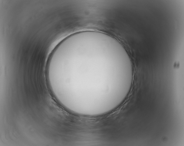 X0000114130292200910081009