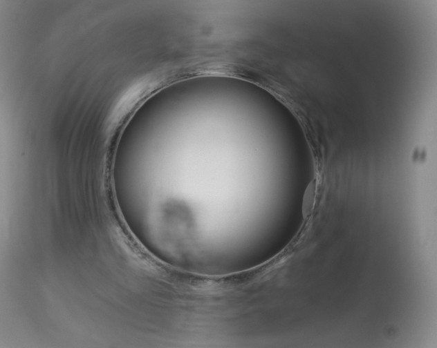 X0000114130293200910081009