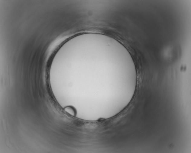 X0000114130294200910081009
