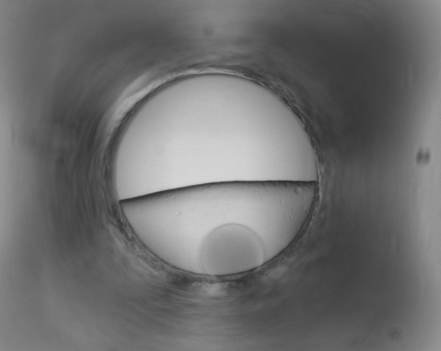 X0000114130295200910081009