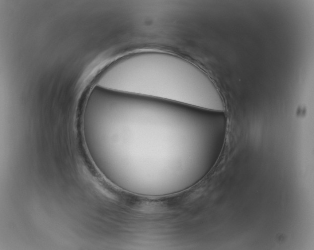 X0000114130296200910081009
