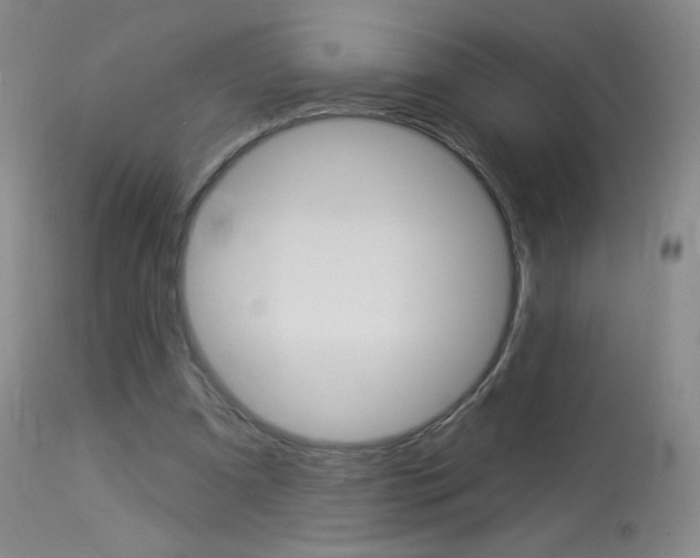 X0000114130297200910081009