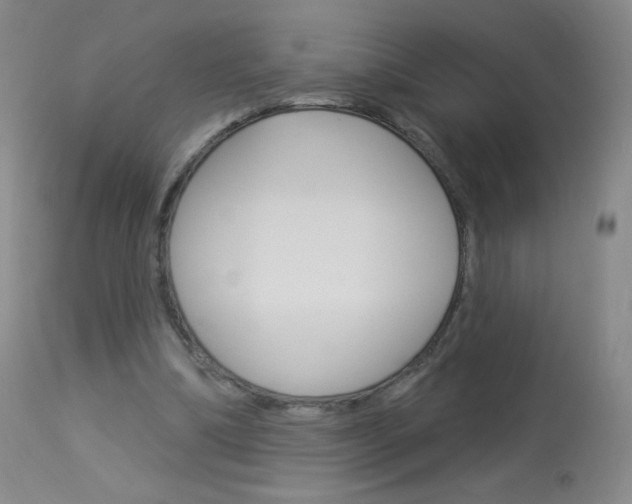 X0000114130298200910081009