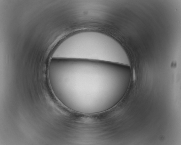 X0000114130300200910081009