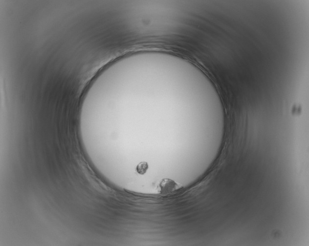 X0000114130301200910081009