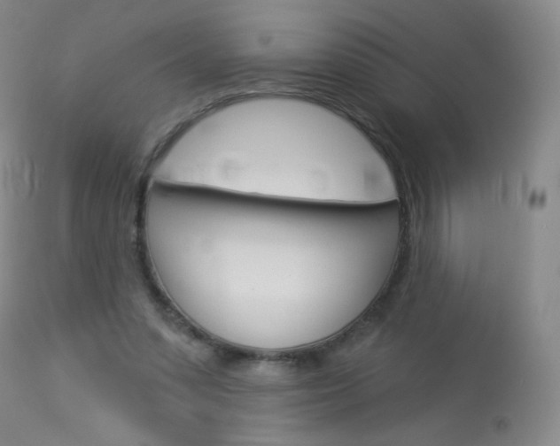 X0000114130303200910081009