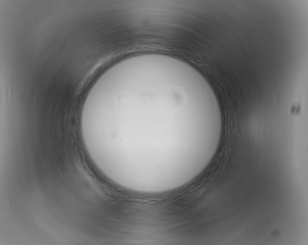 X0000114130304200910081009