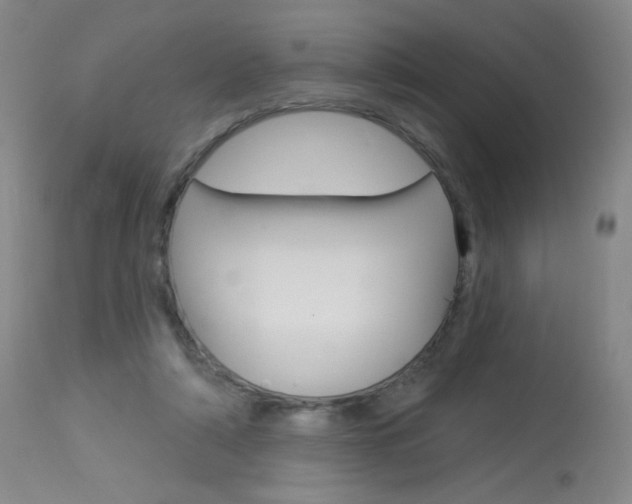X0000114130306200910081009