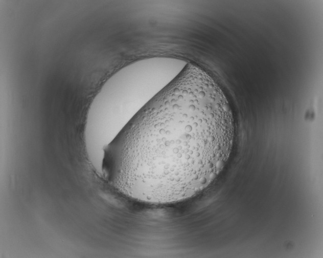 X0000114130307200910081009