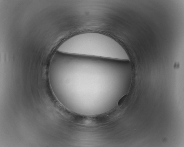 X0000114130308200910081009
