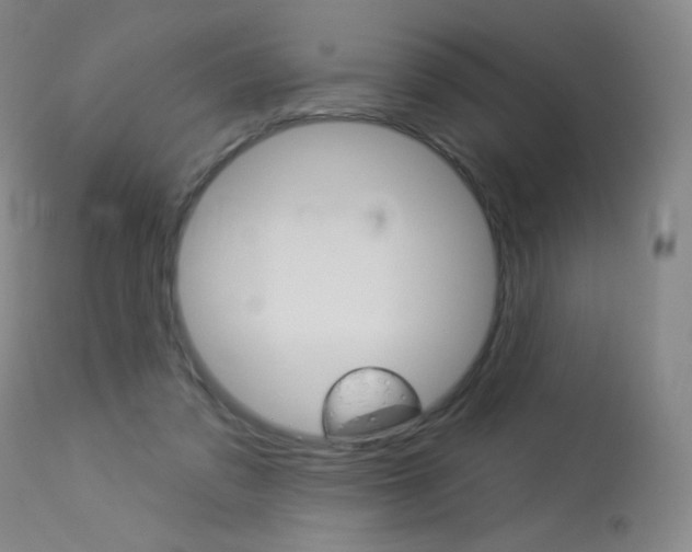 X0000114130309200910081009