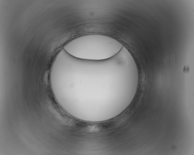 X0000114130310200910081009
