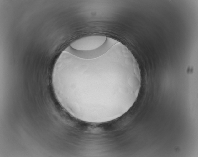 X0000114130311200910081009