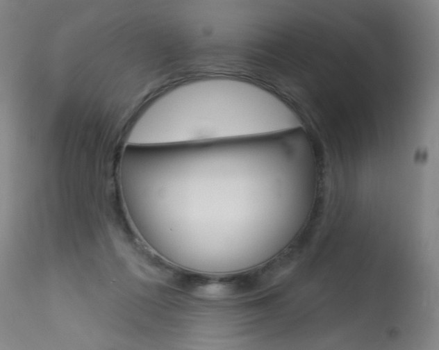 X0000114130312200910081009