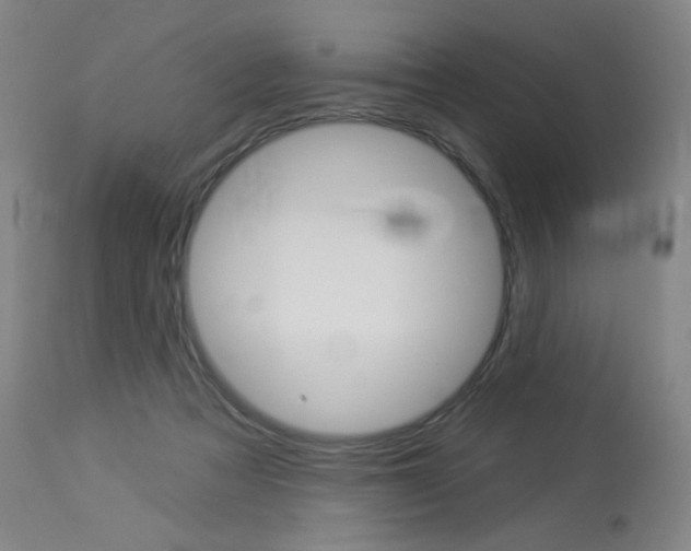 X0000114130313200910081009