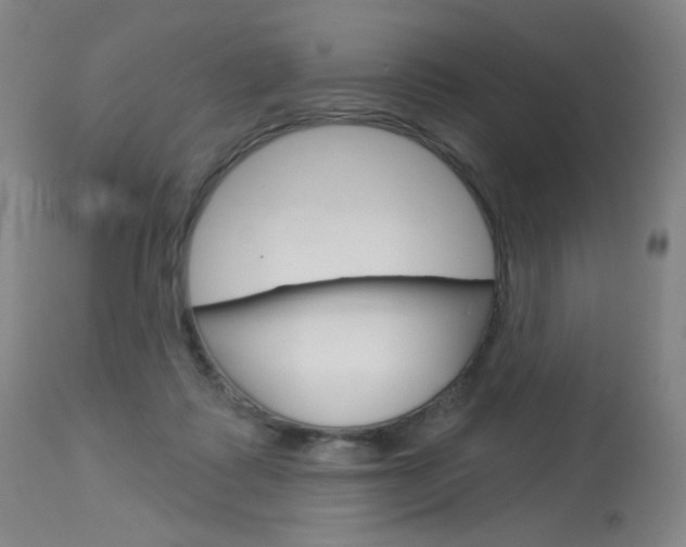 X0000114130315200910081009