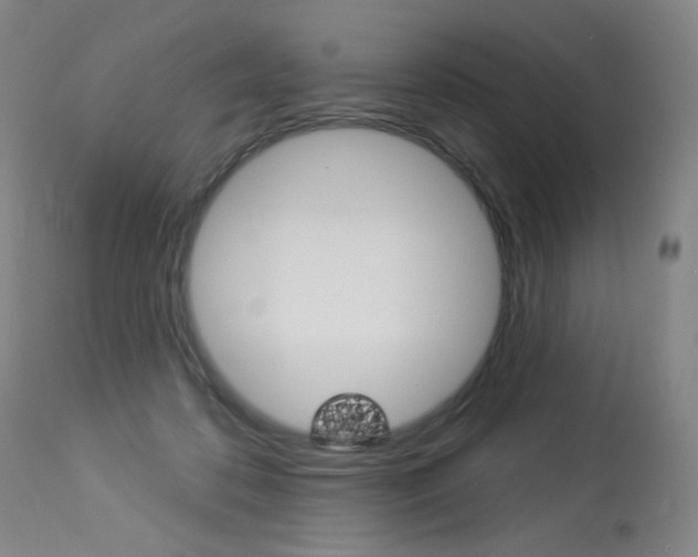 X0000114130316200910081009